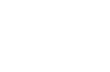 CheckCar